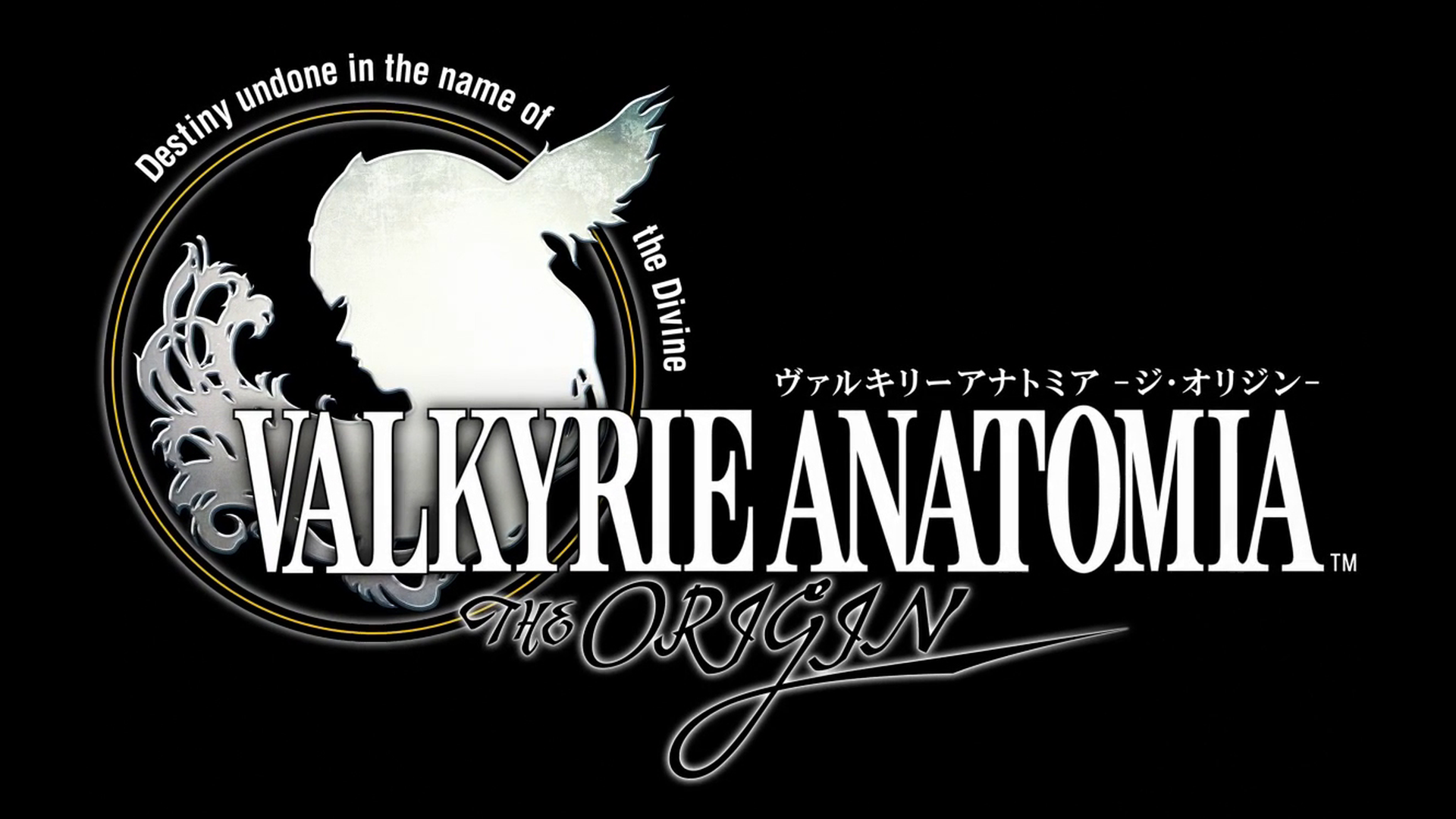 Valkyrie Anatomia: The Origin Logo